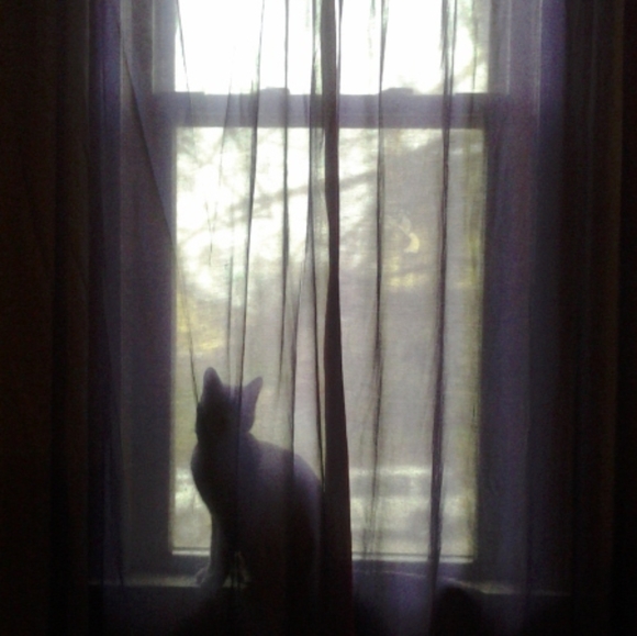 Thank You For Supporting My Small Biz - Picture 5 of 16